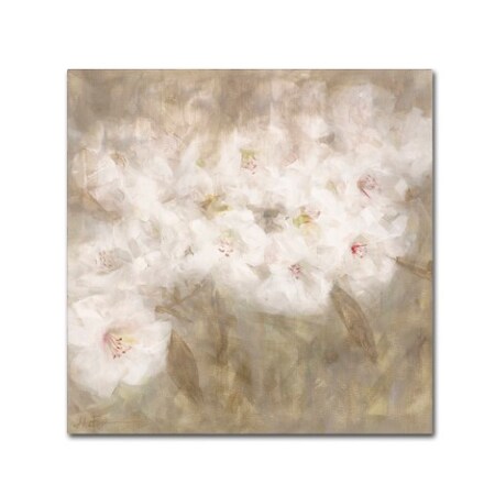 Li Bo 'Wild Flowers I' Canvas Art,14x14